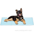 Cooling ice mat for dog